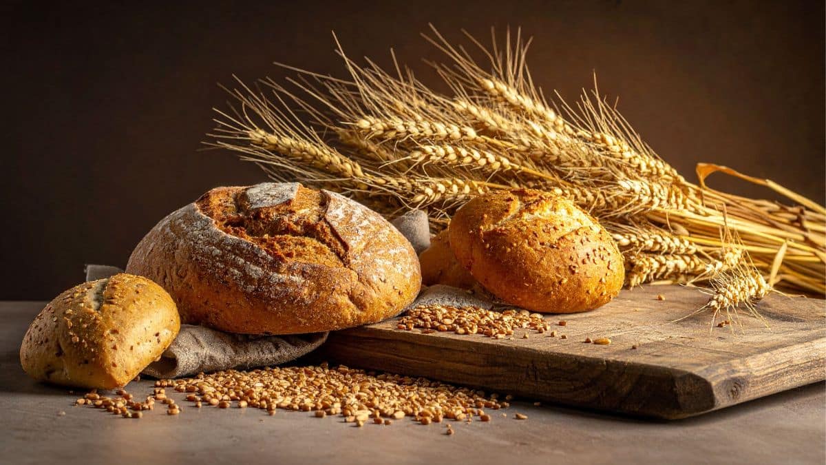 O Melhor da Padaria Artesanal Canoas Sabores Únicos e Saudáveis no Sabor e Performance